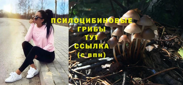 spice Корсаков