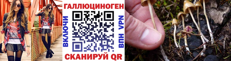 Псилоцибиновые грибы мухоморы  Купить закладки  Байкальск 